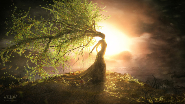 640x360_20846_Willow_3d_fantasy_woman_tree_willow_picture_image_digital_art