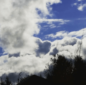 Screenshot_2016-02-13-07-26-46-1