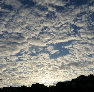 Screenshot_2016-02-13-07-27-04-1