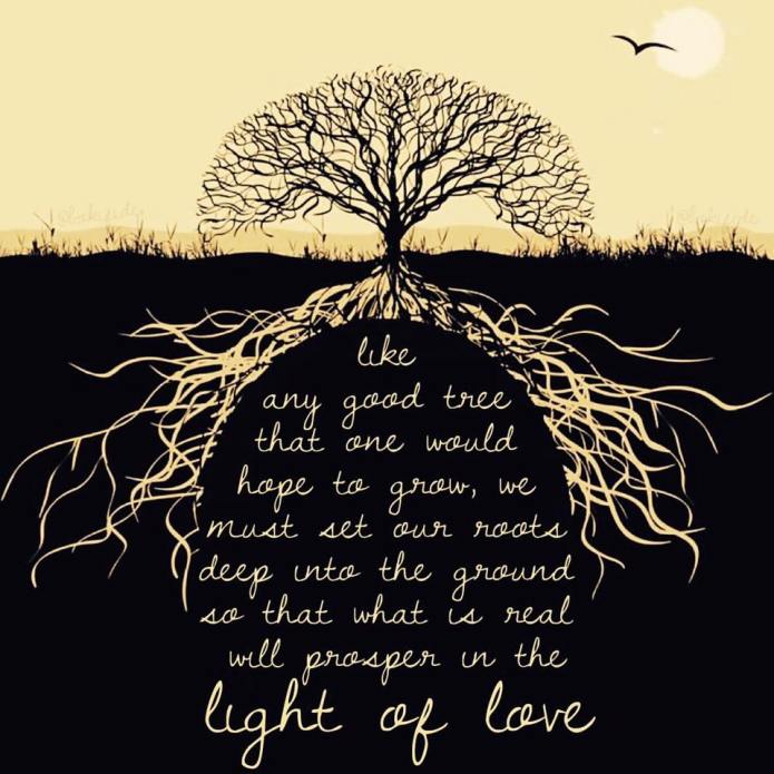 12009674_10154006605312731_7900690794365469428_n