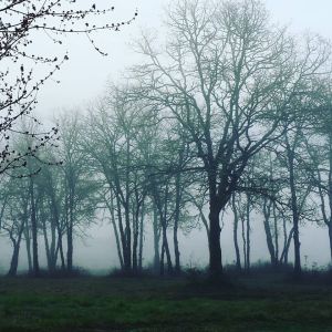 1269477_10208812279726987_5407930416219869115_o