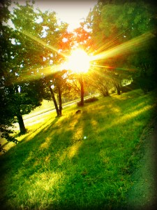 bright_sunshine_by_marissaangell-d55k923