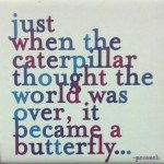 deaa5709f2d3cdb0590423fecfd36932