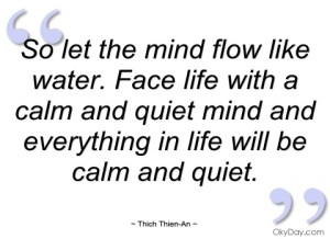 imagem-so-let-the-mind-flow-like-water