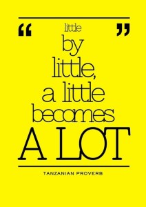 Little-by-little-a-little-becomes-a-lot.-Tanzanian-Proverb
