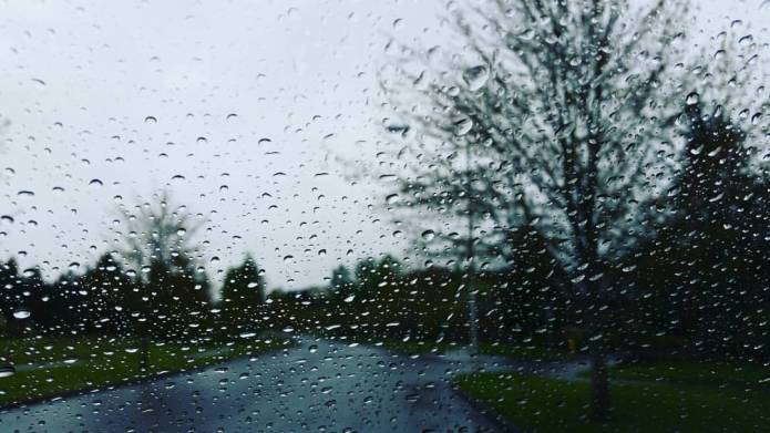 12998261_10209168636315679_5056779156444004203_o