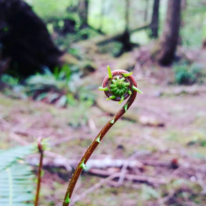 13012701_10209240174384086_5147893999443531502_n