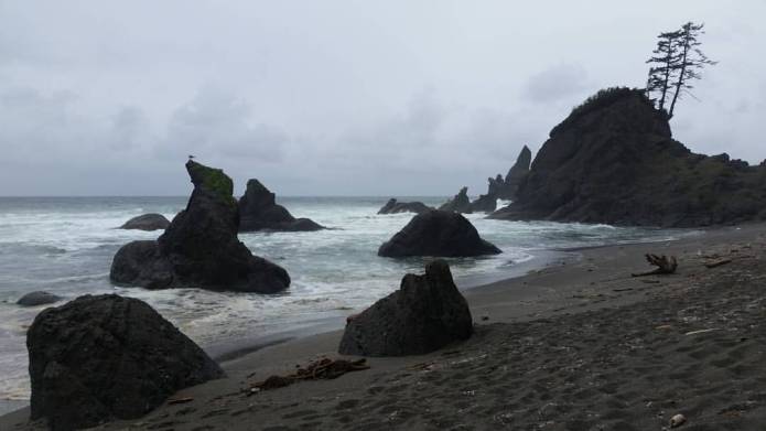 13055780_10209240438990701_812713371162626359_o