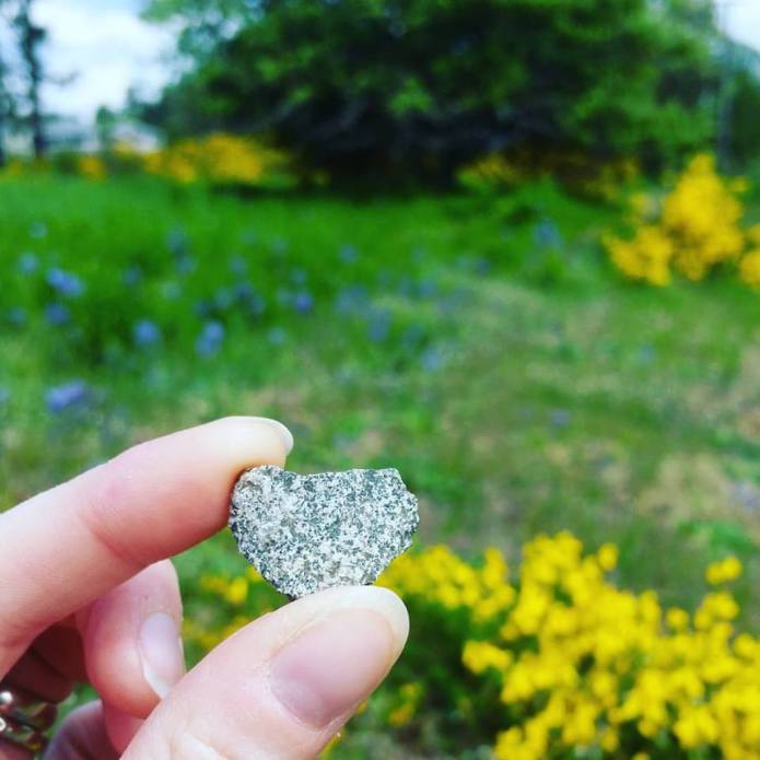 13118908_10209267798594674_5828793722045533298_n