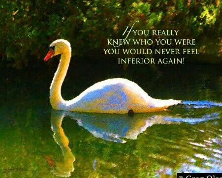 1f6de94ec194408c1feb02ff120dadac