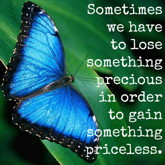 blue-butterfly-wallpaper