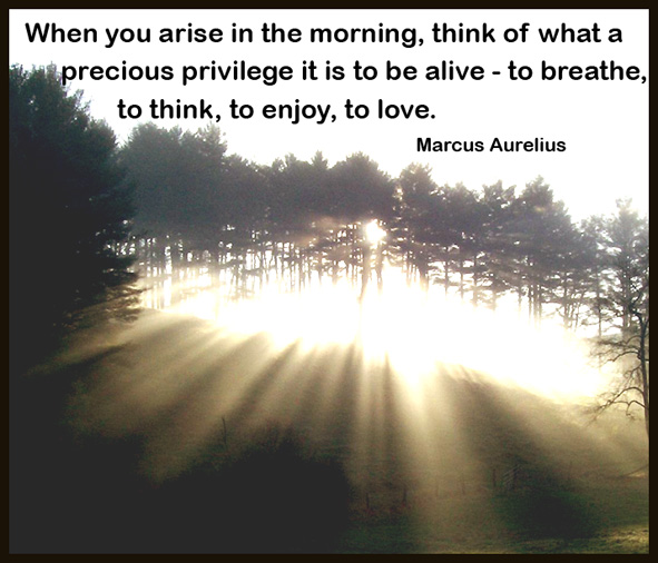 good-morning-picture-quote-landscape