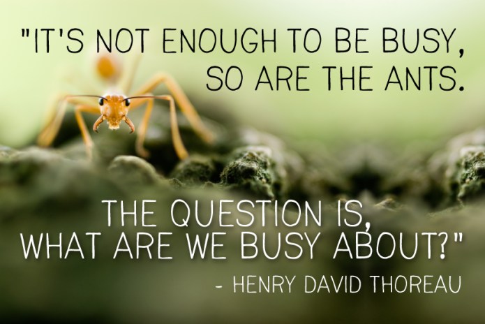 thoreau-ant-quote